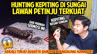 HUNTING KEPITING BESAR DI SUNGAI! LAWAN PEACOCK MANTIS SHRIMP SI PETINJU TERKUAT DI DUNIA!