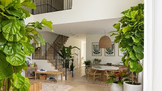 Curating a House FULL of the Perfect Indoor Plants