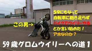 59歳グロムウイリーへの道1