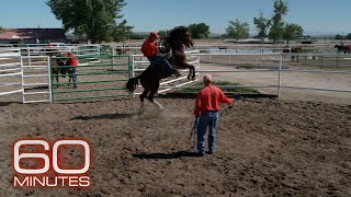 How Wyoming uses wild horses to help prison inmates | 60 Minutes