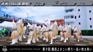 【cine】須賀IZANAI連関東／第９回 横浜よさこい祭り～良い世さ来い 象の鼻パーク波止場会場