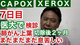 【肺腺がん開胸手術】２ヶ月検診で肺は膨らんでいたのか？息苦しさの原因は？