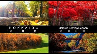 The Cheapest Way to Travel in Hokkaido, Japan 8