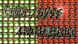 【パズドラ実況】ヒノカグツチ\u0026佐助のスキル上げ素材100体集めた結果ｗｗｗ