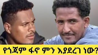 የጎጃም ፋኖ ምን እያደረገ ነው?   February 10, 2025