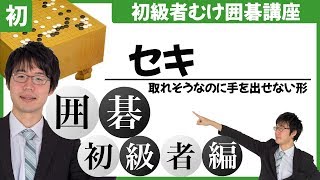 【囲碁】取れそうなのに手を出せない形セキ 囲碁初級講座編