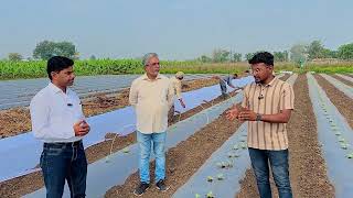 पिकामध्ये क्रॉप कव्हरचा वापर आणि फायदे | low tunnel farming | लो टोनेल के फायदे #Ratanmetalsjaipur