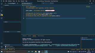 Find phone number information using python| Phone info using python| Python| python for beginner