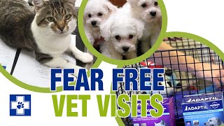 How to have a stress-free vet visit