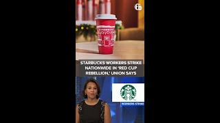Starbucks workers strike nationwide in 'Red Cup rebellion,' union says