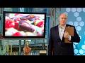 1 Hour of Dara Ó Briain's Science Club | Compilation | BBC Earth Science