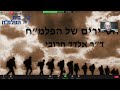 המחלקות המיוחדות של הפלמ