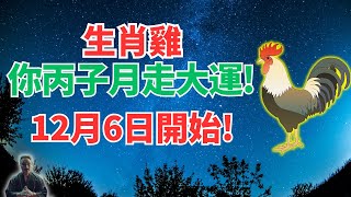 生肖雞注意！丙子月12月6日~1月4日，你有大轉折，霉運散盡，要走大運！別錯過！ #生肖雞運勢 #生肖雞運程 #屬雞運勢 #屬雞運程