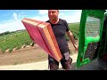 farmvlog 132 nitrogen policy visit zeeland seed onions onion sets onion fly