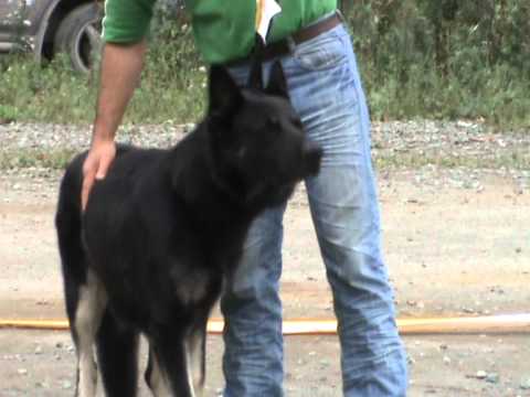 M2u00403 Youtube