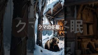 クマの冬眠、実は完全に寝てるわけじゃない！ #雑学