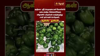 தஞ்சைஸ்ரீ பெருவுடையார் கோயிலில் நடைபெற்ற அன்னாபிஷேக விழா பக்தர்கள் சாமி தரிசனம் செய்தனர்.| Jothitv