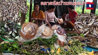 ตลาดนัดบ้านหนองบกเมืองบาเจียง/Nongbok Market Bachieng District Champasack Province