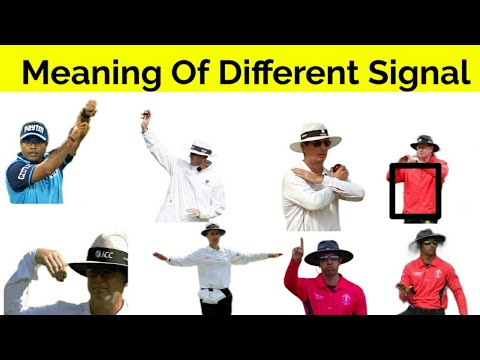 Umpire Signals In Cricket | Meaning Of Different Signals By Umpire ...