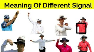 Umpire Signals In Cricket | Meaning Of Different Signals By Umpire | Cartoon Sports