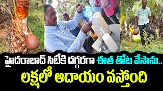 హైదరాబాద్ సిటీకి దగ్గరగా ఈత తోట వేసాను.. లక్షలో ఆదాయం వస్తోంది | Eetha Kallu | Kiran TV Rythu