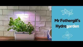 Mr Fothergill's Hydrogarden