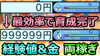 【ダイパリメイク】最効率で育成 金策\u0026経験値 両稼ぎ バグなしで毎日可能 100万円+レベル50UP【ポケモンBDSP】