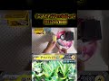 【ポケカ】テツノイバラexを使って発狂する瞬間 ポケモン ポケカ ポケモンカード ポケカチャンネル shorts