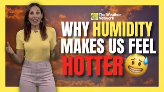 Why Does Humidity Make It Feel Hotter Out? | #AskaMet