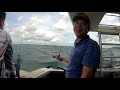 Boat Fishing Singapore - Hybrid Grouper / Magrove Jack (Northern Eastern Waters)