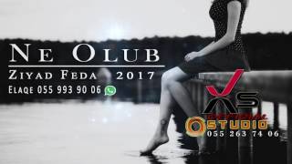 Ne Olub 2017 Hit