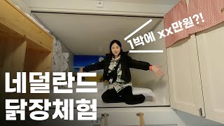 살다살다 네덜란드에서 캡슐 호텔이라니.. | 눈보라 몰아치는 런던에서 암스테르담 가는길, 오늘도 쉽지않은 유럽 여행기 [ep.47]