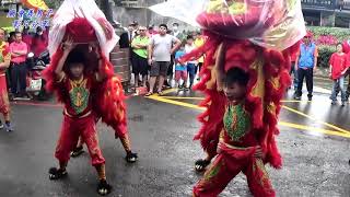 2019.新北汐止茄苳添福宮恭迎天上聖母聖誕遶境【義勝龍獅戰鼓團】