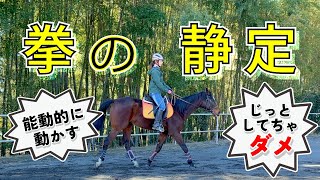 軽速歩で拳の静定をしてみる　posting trot and my fists