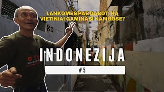 Azija #5 | Pakviestos į svečius | Apie Indoneziją iš pirmų lūpų | Amžinas medaus mėnuo!