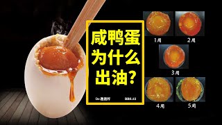 BBS.12//腌鹹鴨蛋為什麽會出油? 代李永樂老師答美食作家王剛...蛋白質變性，乳化劑, 蛋白質鹽析