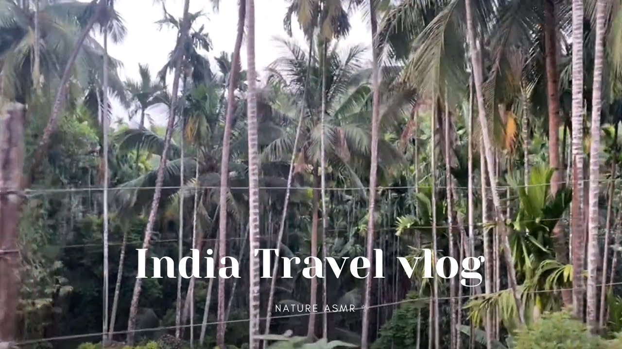 India Travel Vlog Youtube