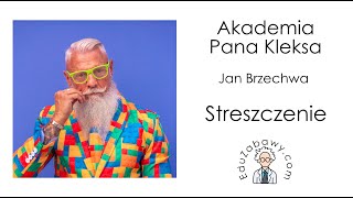 Akademia Pana Kleksa  - streszczenie lektury