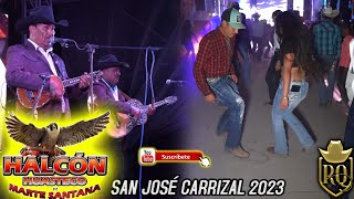 Halcon Huasteco de Marte Santana // El Caballito en San Jose Carrizal