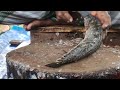 amazing big snakehead murrel fish cutting skills live in fish market fish cutting skills