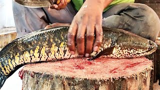 Amazing Big Snakehead Murrel Fish Cutting Skills Live in Fish Market | Fish Cutting Skills