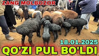 SURXONDARYO ZANG MOLBOZORI QO'Y QO'ZI QO'CHQOR NARXLARI 18.01.2025