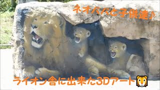 【ライオン】ライオン舎に可愛い３Dアート♪　2021/7/20　とべ動物園