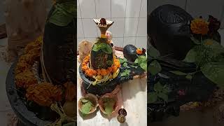 Hamra shivguru ke ajabe..#shivbhajan #shorts #video 🙏👍