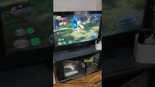 ピクミン2【Pikmin2】;紫8匹\u0026青7匹\u0026白5匹でアメボウズ、赤青黄白紫90匹でオオパンモドキ、白15匹でヘビガラス（めざめの森）を倒す。