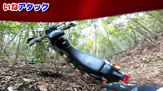 【モトブログ】オフ車始めました。　第250話　いなさん発射する！