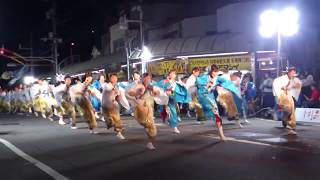 夢源風人　高知よさこい祭り2019升形1日目