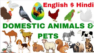 Domestic animals and pets names with picture along vedio| വളർത്തുമൃഗങ്ങയാൽ|pets names |