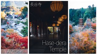 Hase-dera Temple | Autumn | Nara's Most Beautiful Temple? | 長谷寺 | 紅葉 |