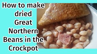 How to make Dried Great Northern Beans in Crockpot #slowcookerrecipe